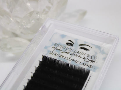 Classic Ellipse Lash Tray