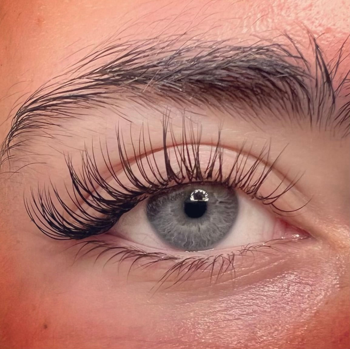 Classic Ellipse Lash Tray