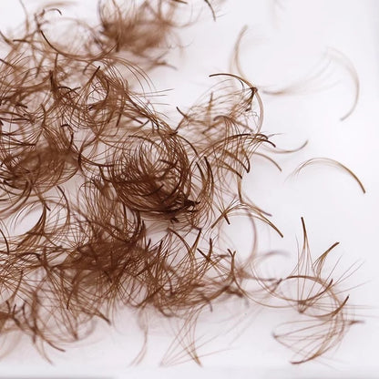 Brown Lash Collection