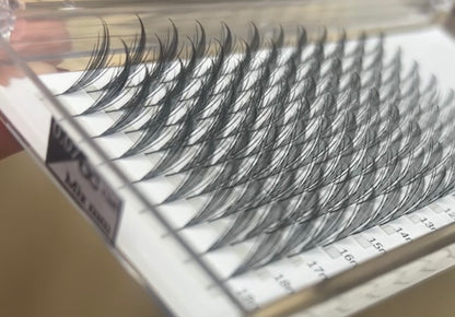 Angel Spike™ W Lash Fans (Wispy Pre-Made Spikes)